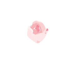 Sticker by Wardah Beauty