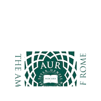 Study Abroad Sticker by American University of Rome