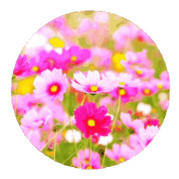 Flor Sticker by Bel Diniz
