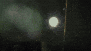 Little Nightmares Horror GIF by BANDAI NAMCO