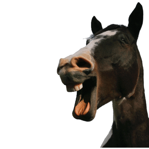 Grosserpreisvonsachsen Sticker by C3Chemnitz