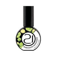 21Inibiodor Sticker by Nails21