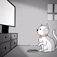 Watch Netflix Cat GIF by CC0 Studios