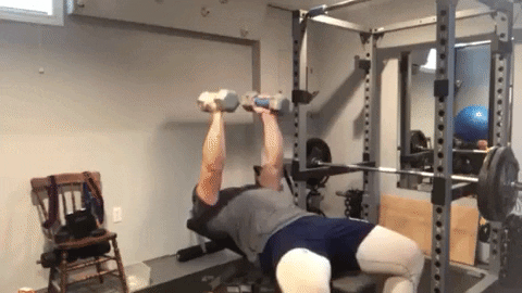 winestain giphygifmaker workout GIF