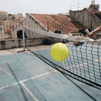 Pickleball Pickle GIF by TOCO67