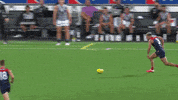 Robbie Gray Afl GIF by Port Adelaide FC
