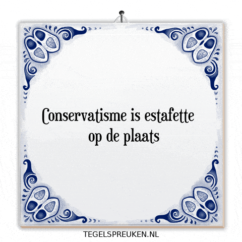 Nl Reflectie GIF by Tegelspreuken.nl