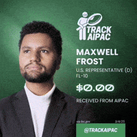 Good Guy Democrat GIF by Respective