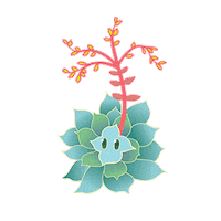 Succulents Liveforever Sticker by California Native Plant Society