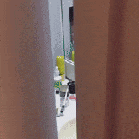 Cat Read GIF by FUN WITH FRIDAY