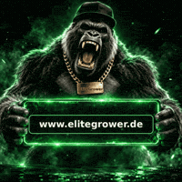 Plant Lover Cultivation GIF by EliteGrower