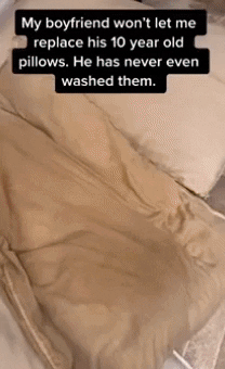 inssight giphygifmaker GIF