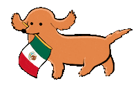 Cinco De Mayo Sticker by Stefanie Shank
