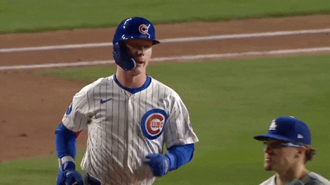 Chicago Cubs Sport GIF by TheDreamTeam 