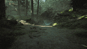 Flying Harry Potter GIF by WBGames