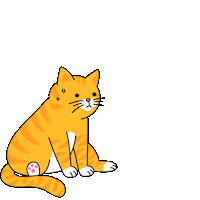 alarko-carrier hot cat summer cold Sticker