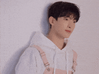 Dk 세븐틴 GIF