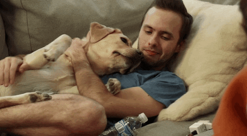 Youtube GIF by Shane Dawson