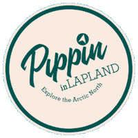 Winter Aurora Sticker by Pippin in Lapland