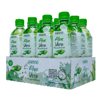 Plant Aloe Sticker by Bardens İçecek Ltd.Şti.