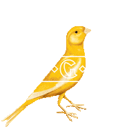 degelekanarie bird vogel dgk de gele kanarie Sticker