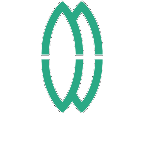 emeraldwarriorsrfc giphygifmaker green ball rugby Sticker