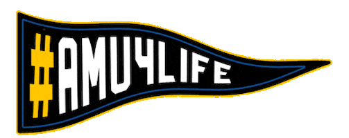 AmericanMilitaryUniversity giphyupload valor amu4life american military university Sticker