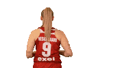 Womens Basketball Sport Sticker by Basket_fi