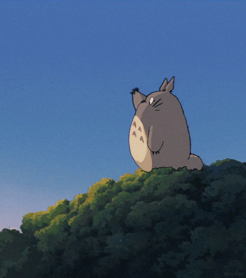 Studio Ghibli Film GIF