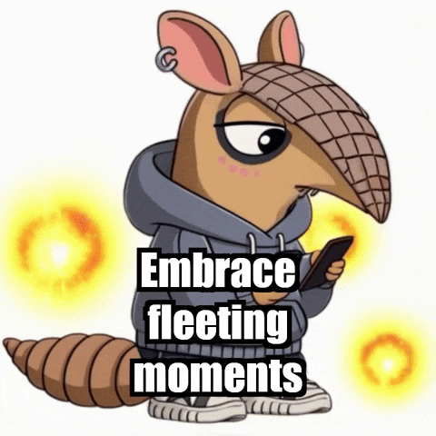 Wisdom Appreciation GIF by Chillo Dillo