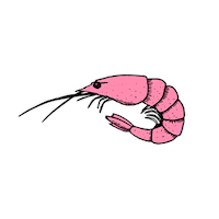 shrimp Sticker by Goteborgcom