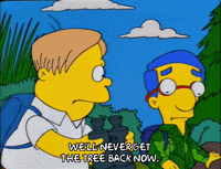season 6 episode 25 GIF