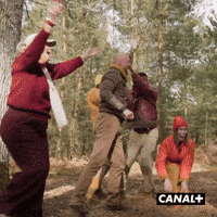 Joie Irl GIF by CANAL+