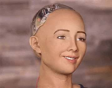 1315 GIF