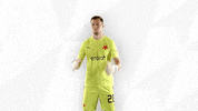 Football Yes GIF by SK Slavia Praha