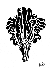 GIF by Miron