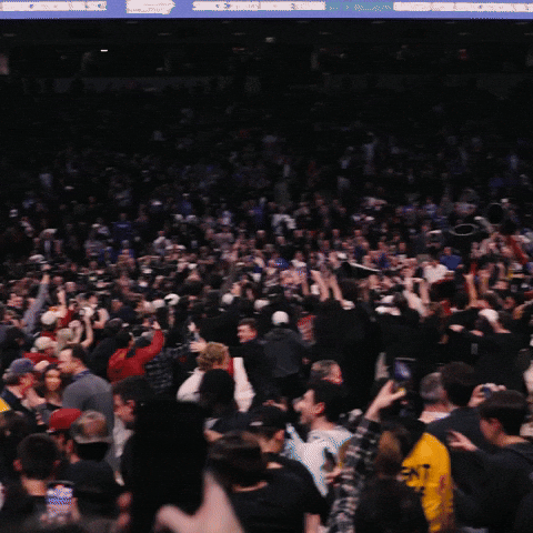 South Carolina Football GIF by Gamecock Athletics