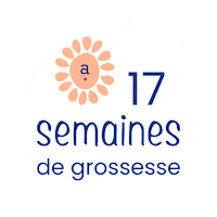Pregnancy Grossesse Sticker by Absorba
