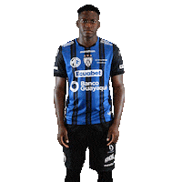 Dance Futbol Sticker by INDEPENDIENTE DEL VALLE