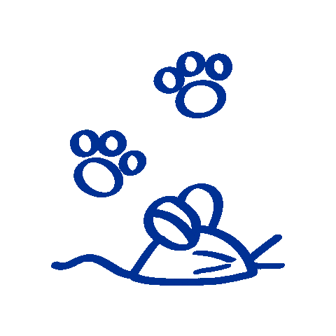 Cats Win Sticker by Montego Pet Nutrition