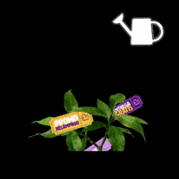 Black Friday Delivery GIF by aiqfome