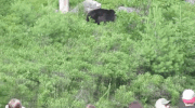 GIF by Mashable