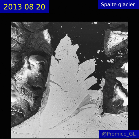 vitalylapikov giphyupload GIF