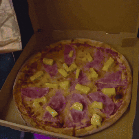 Samurai Pizza Cats Daniel GIF