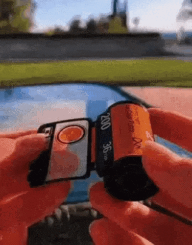 DolceMemories giphyupload GIF