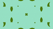 Art Design GIF by jorgemariozuleta