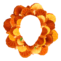 face glasses Sticker by Fanta Brasil