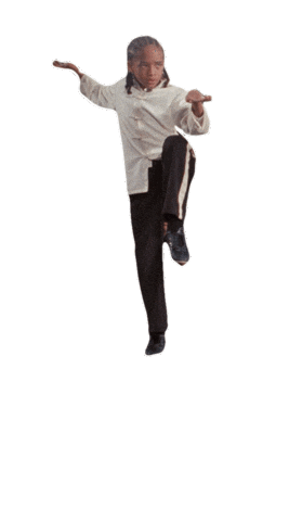 Kung Fu Balance Sticker by Sony Pictures