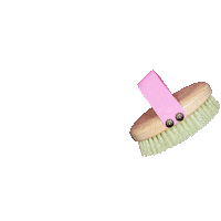 Frymusja brushing frymusja naturalniefrymusna szczotka Sticker