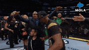 Happy Ultimate Fighting Championship GIF by MolaTV